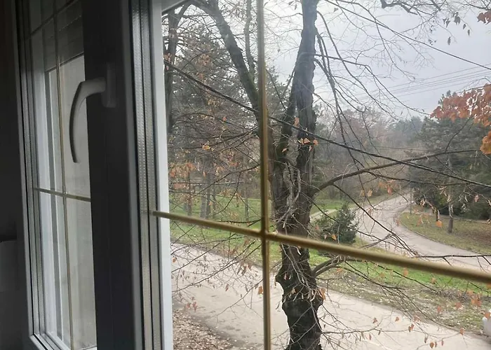 Twins Apartment Bečej